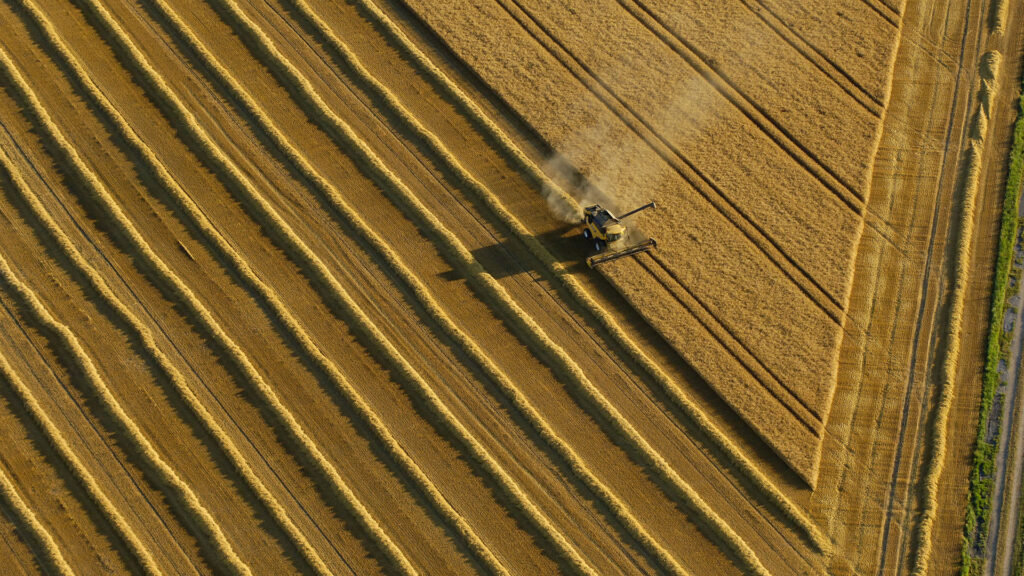 Aerial photo of a harvester driving down a grain field in Denmark